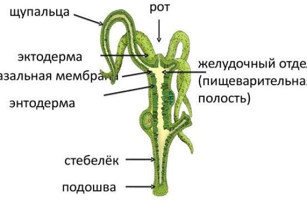 Кракен это современный даркнет