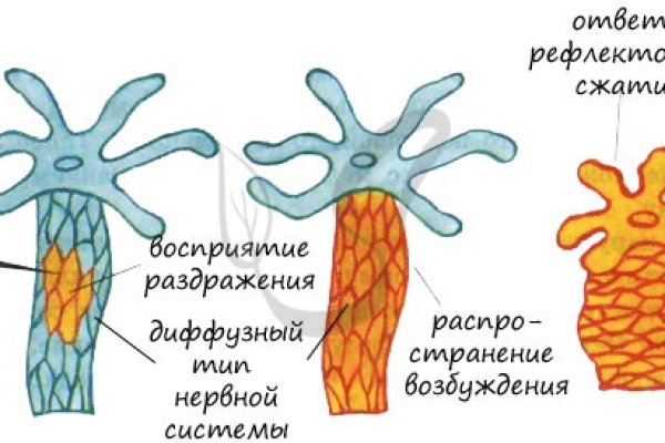 Как купить через кракен