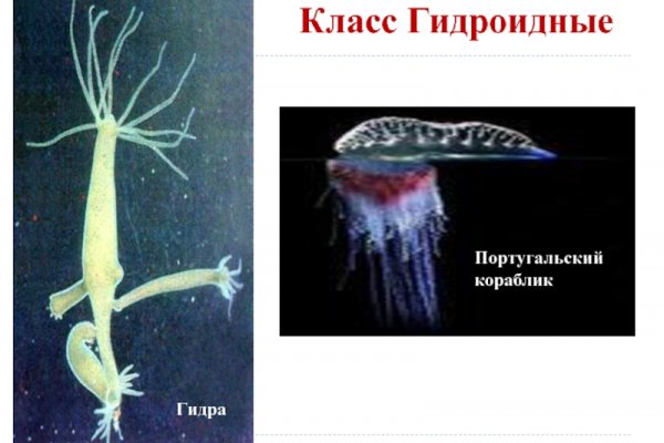 Kra39at